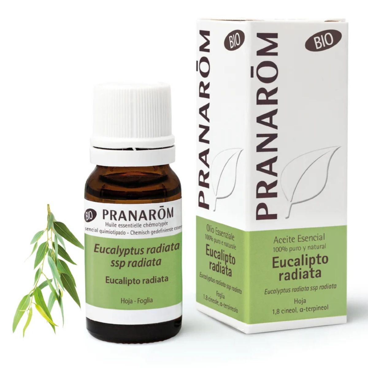 Pranarôm Óleo Essencial Eucalipto Radiata BIO 10 ml Pranarôm Óleo Essencial Eucalipto Radiata BIO 10 ml